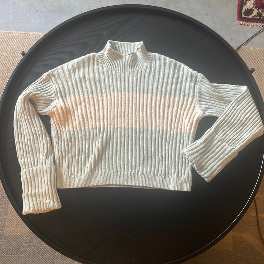 Everlane The Cotton Ribbed Rollneck Sweater